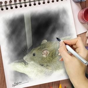 Meet your Posher, Debra